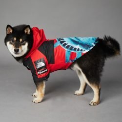 Dog Fans "Statue Of Liberty" Dog Raincoat 10 6e967a41