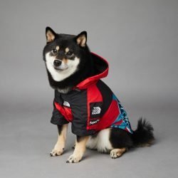 Dog Fans "Statue Of Liberty" Dog Raincoat 25 ecc62971