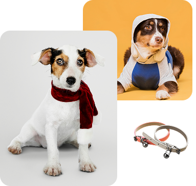 contact us section dogs groups photo